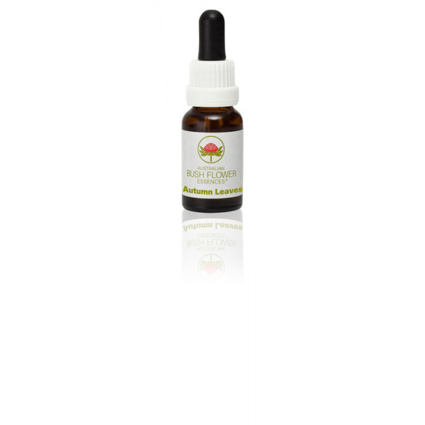 E.F. AUTUMN LEAVES 15 ML
