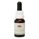 E.F. GREY SPIDER FLOWER 15 ML