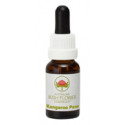 E.F. KANGAROO PAW 15 ML.