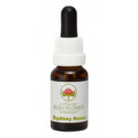 E.F. SYDNEY ROSE 15 ML.
