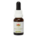 E.F. SPINIFEX 15 ML.