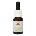 E.F. WISTERIA 15 ML.