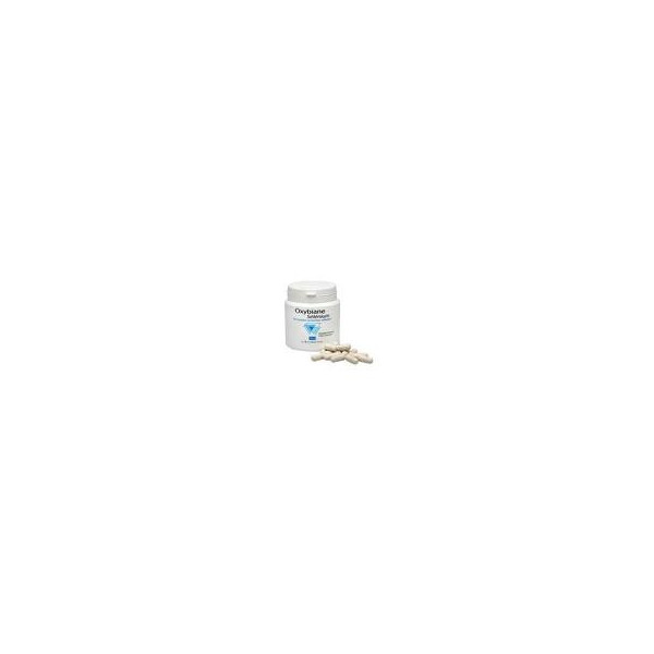 Comprar OXYBIANE CELL PROTECT 60 CAPS PILEJE online - Coliseum