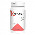 Comprar online RAPHANUS 90 CAP - Farmacia Coliseum