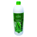 ALOE VERA JUGO 100% 1 L JELLYBELL