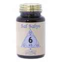 SAL SALYS 06 (KS) 60COMP UROBOROS JELLYBELL