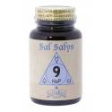 SAL SALYS 9 (NA P) 60 COMP UROBOROS JELLYBELL