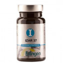 IZAR 37 60 COMPR ERLINGEN