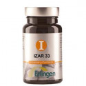 IZAR 33 60 COMP ERLINGEN