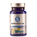 BASE 230 ESPECIFICA 60 COMP ERLINGEN