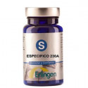 BASE 230A ESPECIFICA 60 COMP ERLINGEN