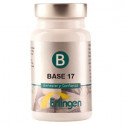 BASE 17 60 COMP ERLINGEN