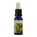 HOJARAZO ESENCIA 15 ML NESTINAR