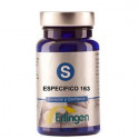BASE 163 ESPECIFICA 60 COMP ERLINGEN