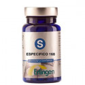 BASE 168 ESPECIFICA 60 COMP ERLINGEN