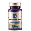 BASE 197A ESPECIFICA 60 COMP ERLINGEN