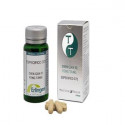 BASE 372 ESPECIFICA 60 COMP ERLINGEN