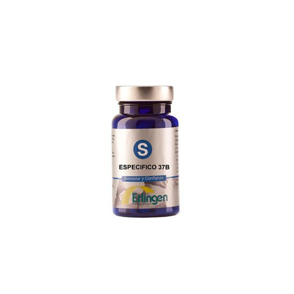 BASE 37B ESPECIFICA 60 COMP ERLINGEN