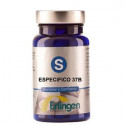 BASE 37B ESPECIFICA 60 COMP ERLINGEN