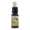 ACEBO ESENCIA 15 ML NESTINAR