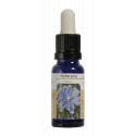ACHICORIA ESENCIA 15 ML NESTINAR