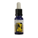 AGRIMONIA ESENCIA 15 ML NESTINAR