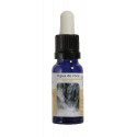 AGUA DE ROCA ESENCIA 15 ML NESTINAR