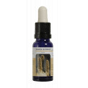 ALAMO TEMBLON ESENCIA 15 ML NESTINAR