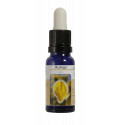 AULAGA ESENCIA 15 ML NESTINAR