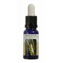 AVENA SILVESTRE ESENCIA 15 ML NESTINAR