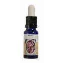 BREZO ESENCIA 15 ML NESTINAR
