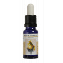 BROTE DE CASTAÑO ESENCIA 15 ML NESTINAR