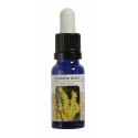 CASTAÑO DULCE ESENCIA 15 ML NESTINAR