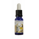 REMEDIO DE LOS 5 ESENCIA 15 ML NESTINAR