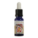 CASTAÑO ROJO ESENCIA 15 ML NESTINAR