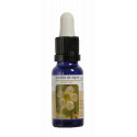 VIOLETA DE AGUA ESENCIA 15 ML NESTINAR