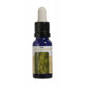VID ESENCIA 15 ML NESTINAR