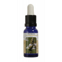VERBENA ESENCIA 15 ML NESTINAR