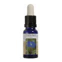 CERATO ESENCIA 15 ML NESTINAR