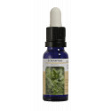 SCLERANTUS ESENCIA 15 ML NESTINAR