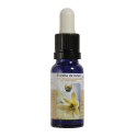 ESTRELLA DE BELEN ESENCIA 15 ML NESTINAR