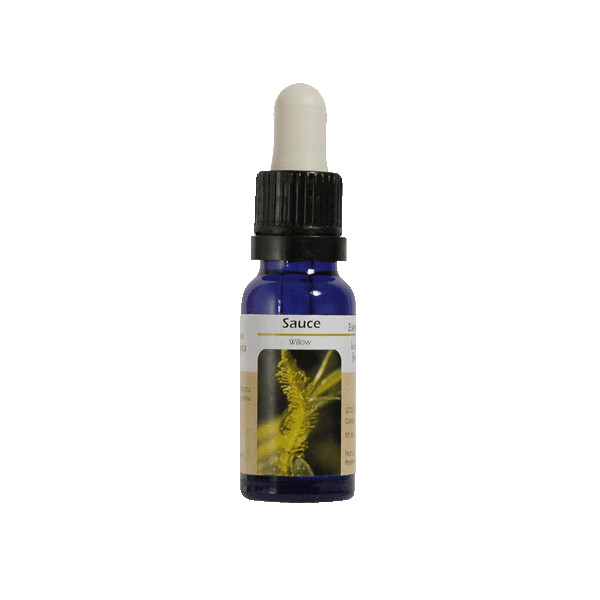 SAUCE ESENCIA 15 ML NESTINAR