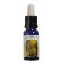 HAYA ESENCIA 15 ML NESTINAR