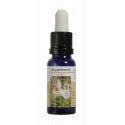 IMPACIENCIA ESENCIA 15 ML NESTINAR