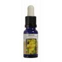 MIMULO ESENCIA 15 ML NESTINAR