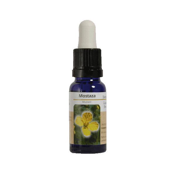 MOSTAZA ESENCIA 15 ML NESTINAR