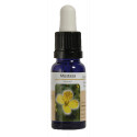 MOSTAZA ESENCIA 15 ML NESTINAR