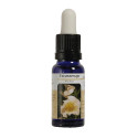 ROSA SILVESTRE ESENCIA 15 ML NESTINAR