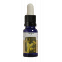 NOGAL ESENCIA 15 ML NESTINAR