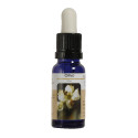 OLIVO ESENCIA 15 ML NESTINAR